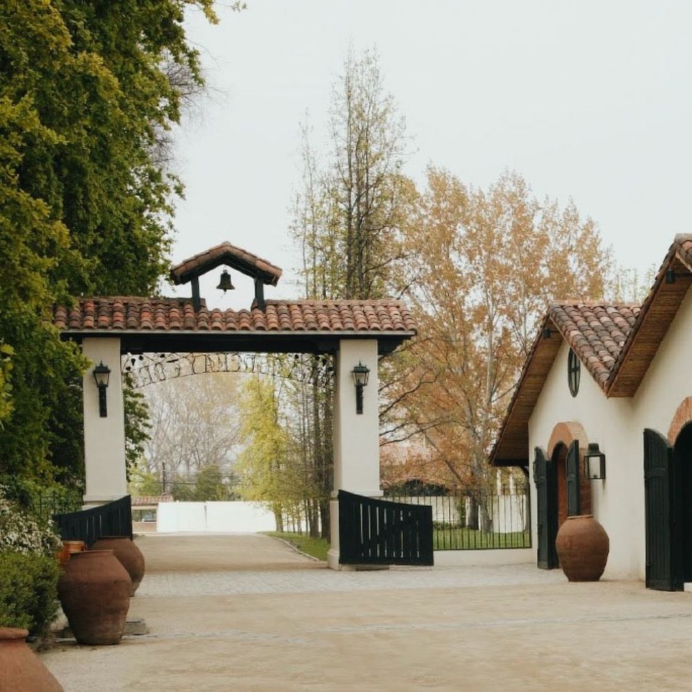 Viña Concha y Toro – Clásico