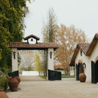 Viña Concha y Toro – Clásico