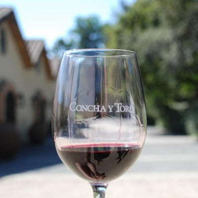 Viña Concha y Toro – Clásico