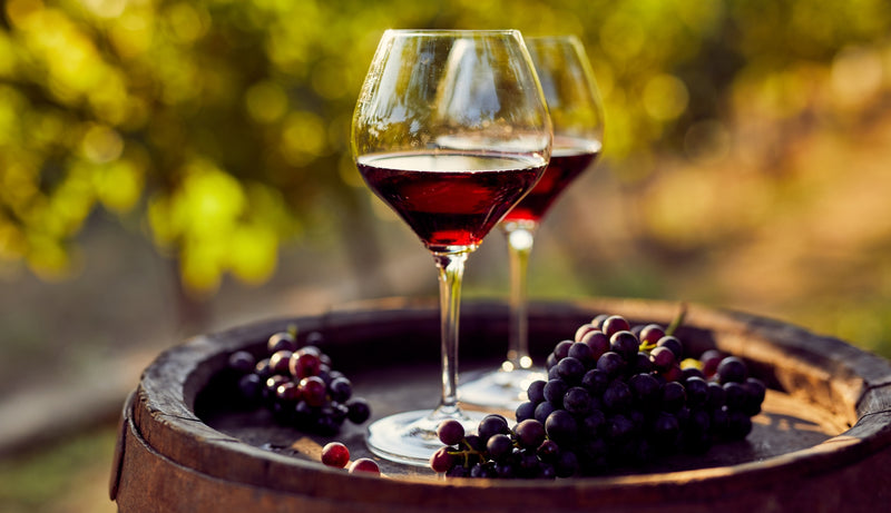 Vinos & Experiencias Gourmet